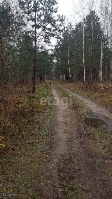 земля р-н Добровский с Горицы снт терЛесное ул 4-я фото 8