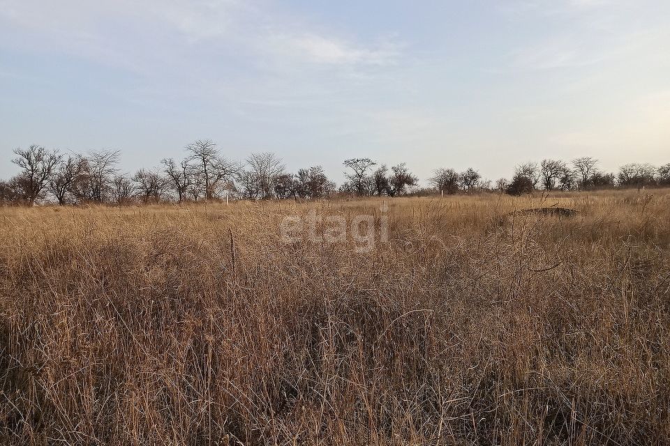 земля р-н Ейский с Воронцовка ул Молодежная фото 1