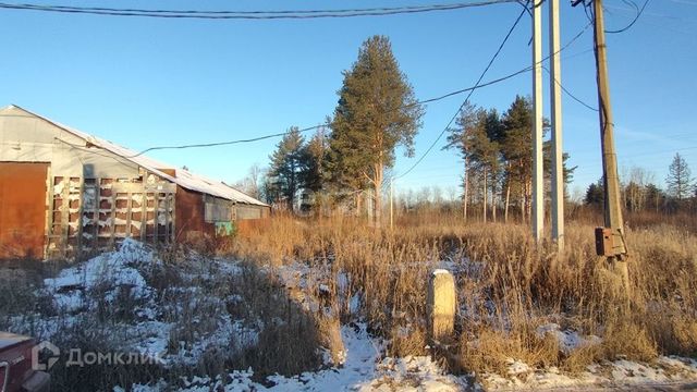 г Котлас ул Кузнецова фото