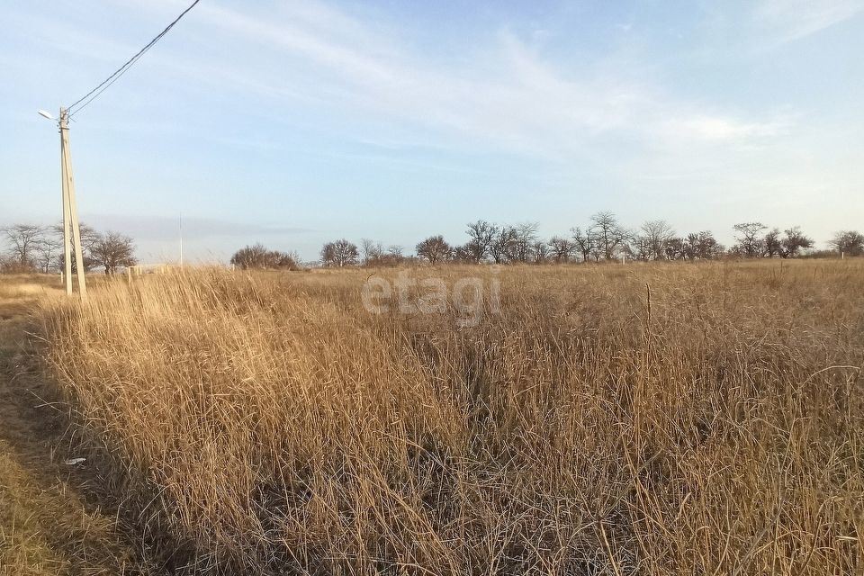 земля р-н Ейский с Воронцовка ул Молодежная фото 4