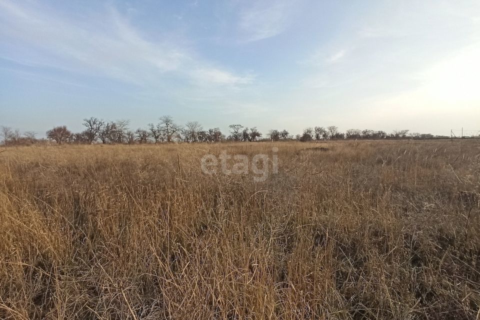 земля р-н Ейский с Воронцовка ул Молодежная фото 3