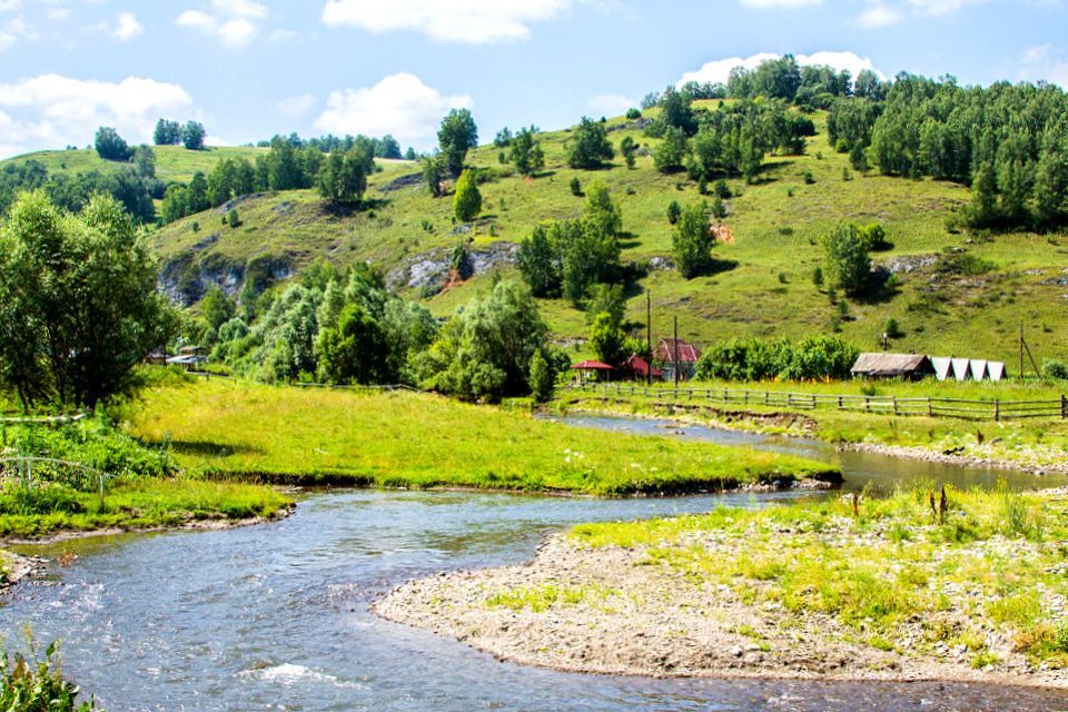 земля р-н Алтайский фото 2