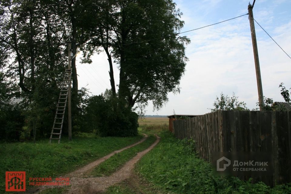 земля р-н Лужский фото 1