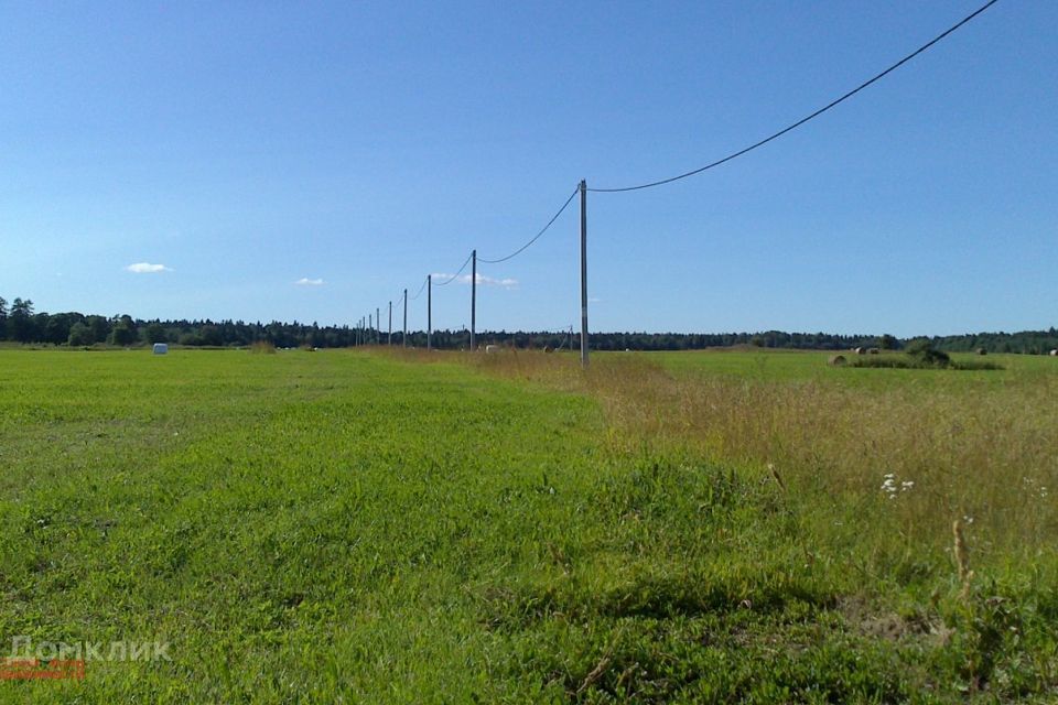 земля р-н Волосовский фото 4