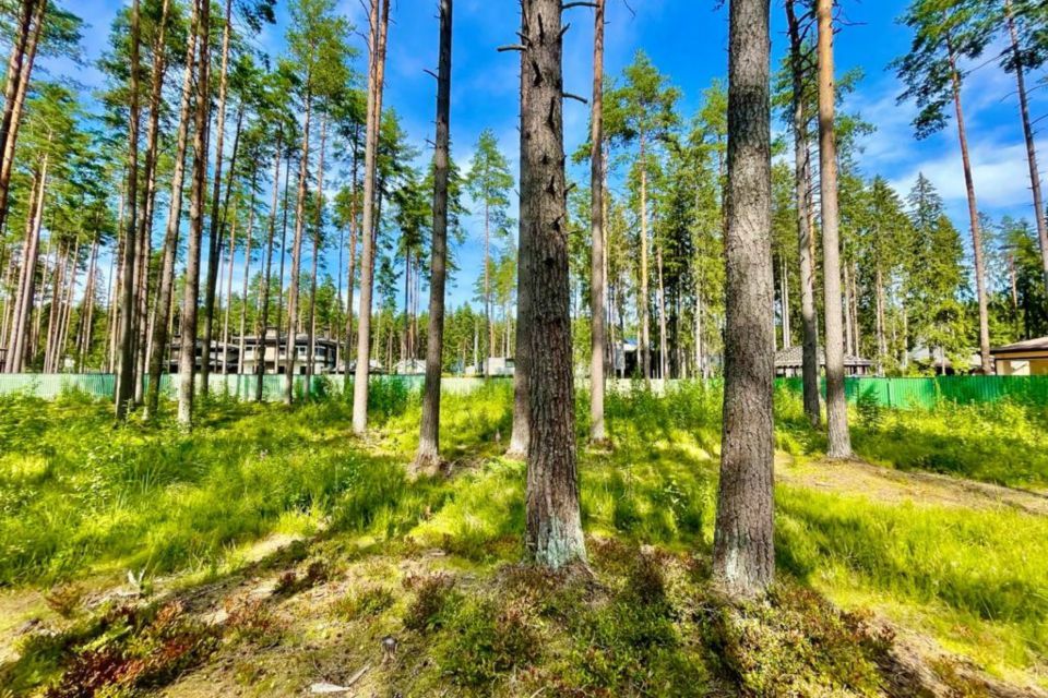 земля г Зеленогорск ул Танкистов фото 8