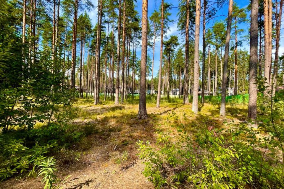 земля г Зеленогорск ул Танкистов фото 9