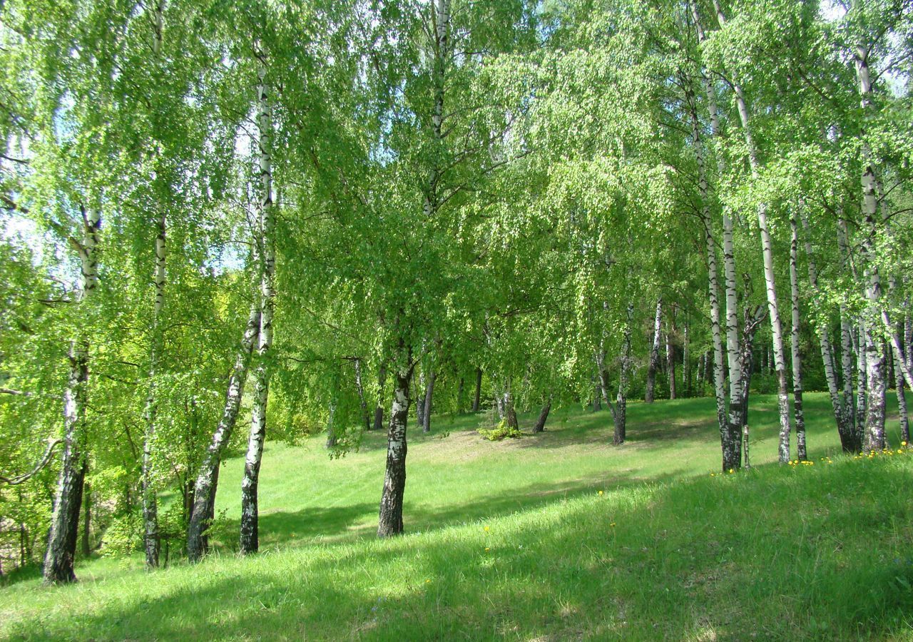 земля р-н Ясногорский с Климовское Московская область, Пущино фото 3