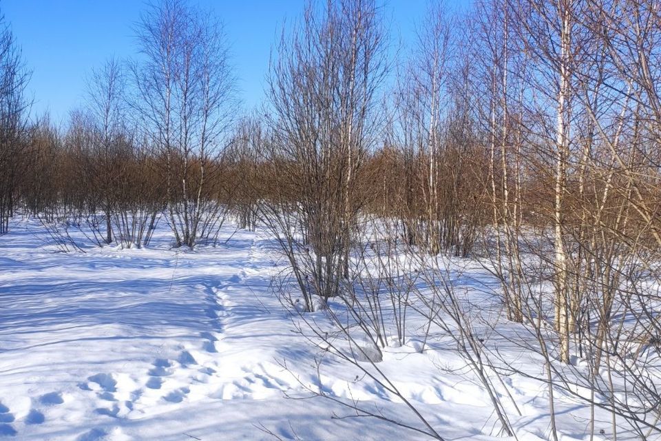 земля г Калуга ул Непокорённых Ленинградцев фото 4