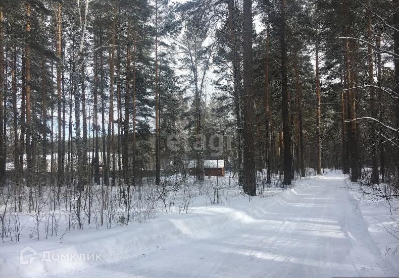 земля г Верхняя Пышма п Крутой фото 1