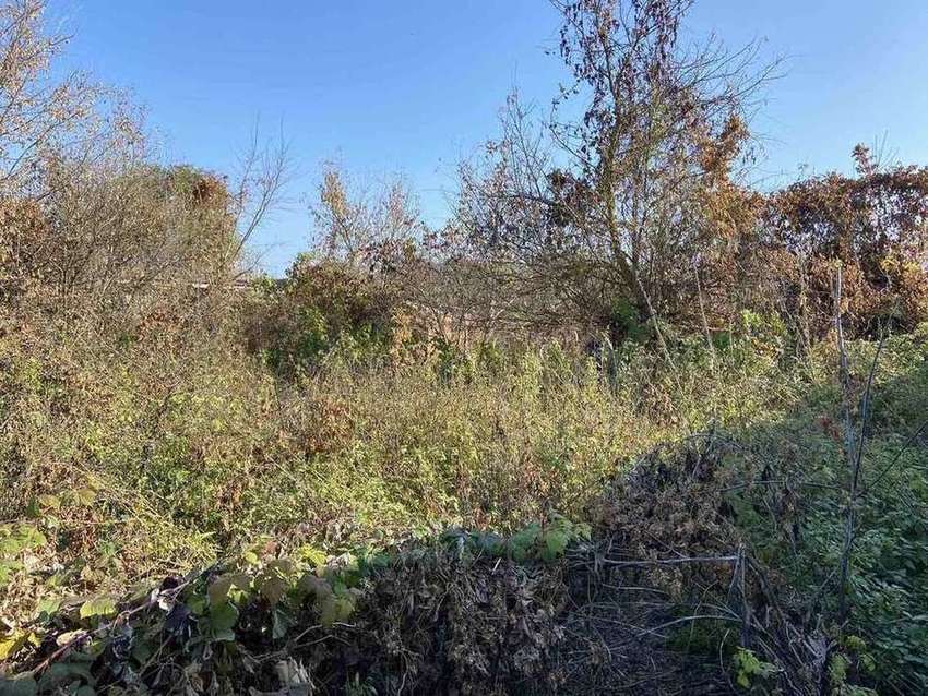 земля р-н Яковлевский п Томаровка ул Луговая фото 2