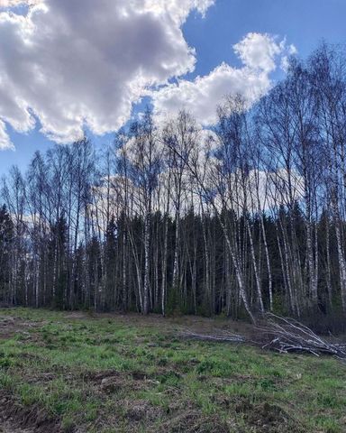 земля г Видное Расторгуево фото