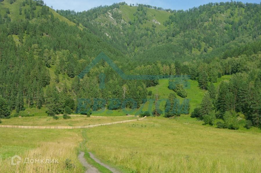 земля р-н Чемальский фото 1