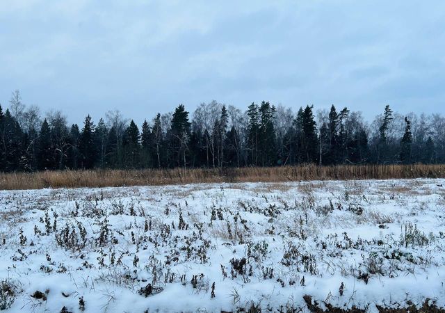 земля г Ивантеевка снт Учитель-2 ул Лесная Лесной Городок, Одинцовский г. о. фото