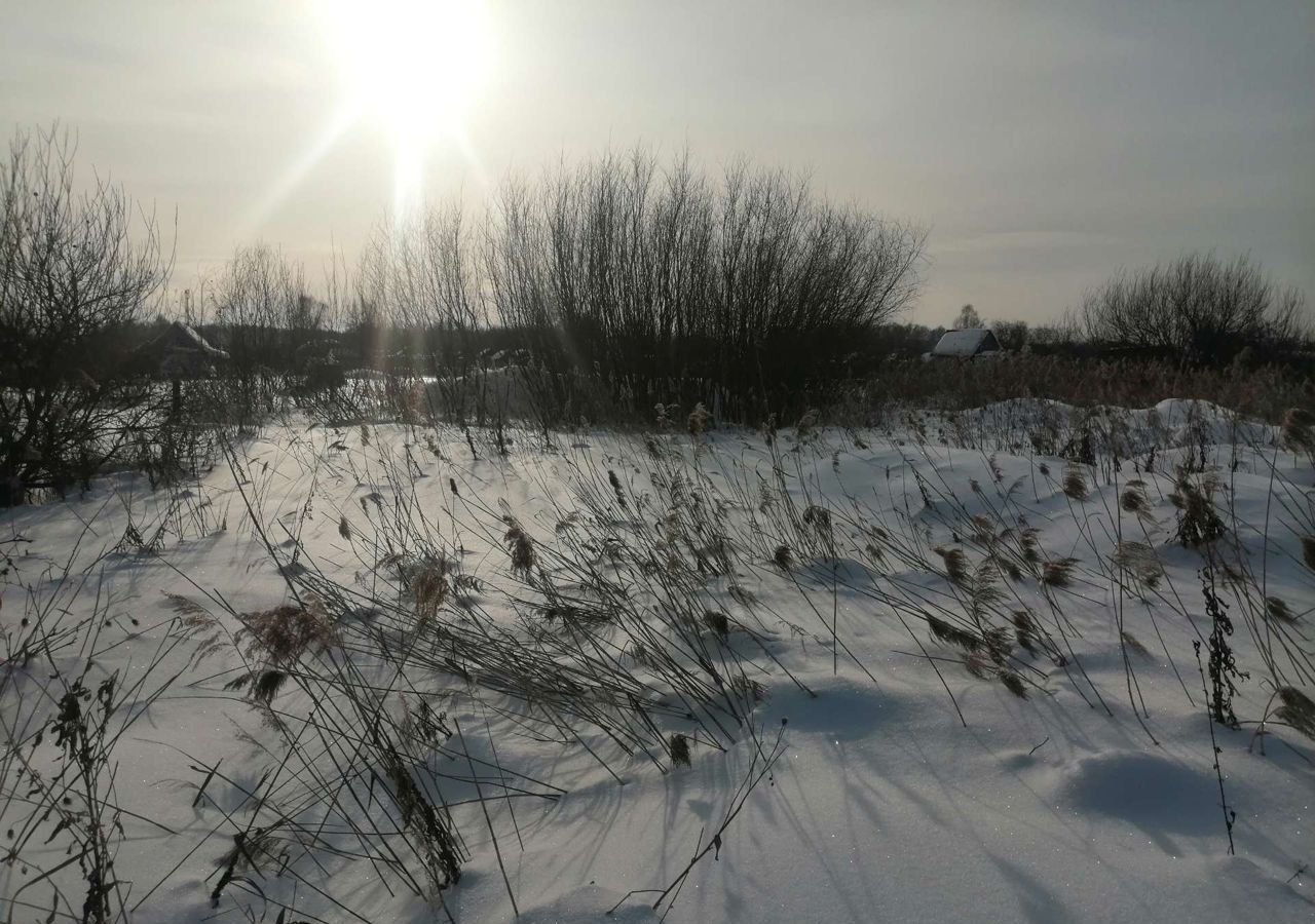 земля г Ялуторовск садово-огородническое некоммерческое товарищество Пустошкино фото 2
