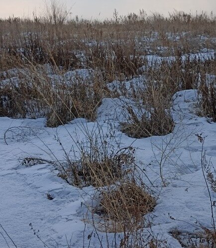 земля г Уссурийск ул 8-е Марта 15 фото 1