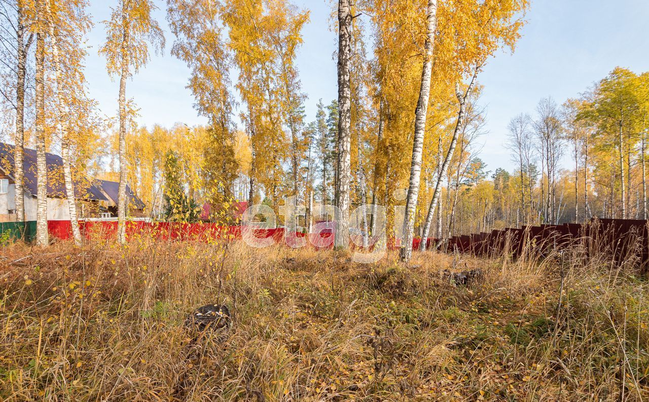 земля р-н Новосибирский снт Экспериментатор Барышевский сельсовет, Новосибирск фото 4
