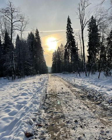 земля городской округ Дмитровский д Ваньково Деденево фото