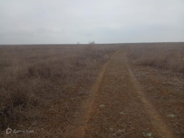 земля р-н Раздольненский с Стерегущее ул Береговая фото 2