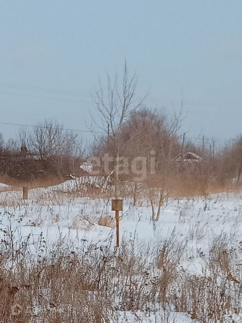 земля р-н Навашинский с Большое Окулово ул Советская фото 10