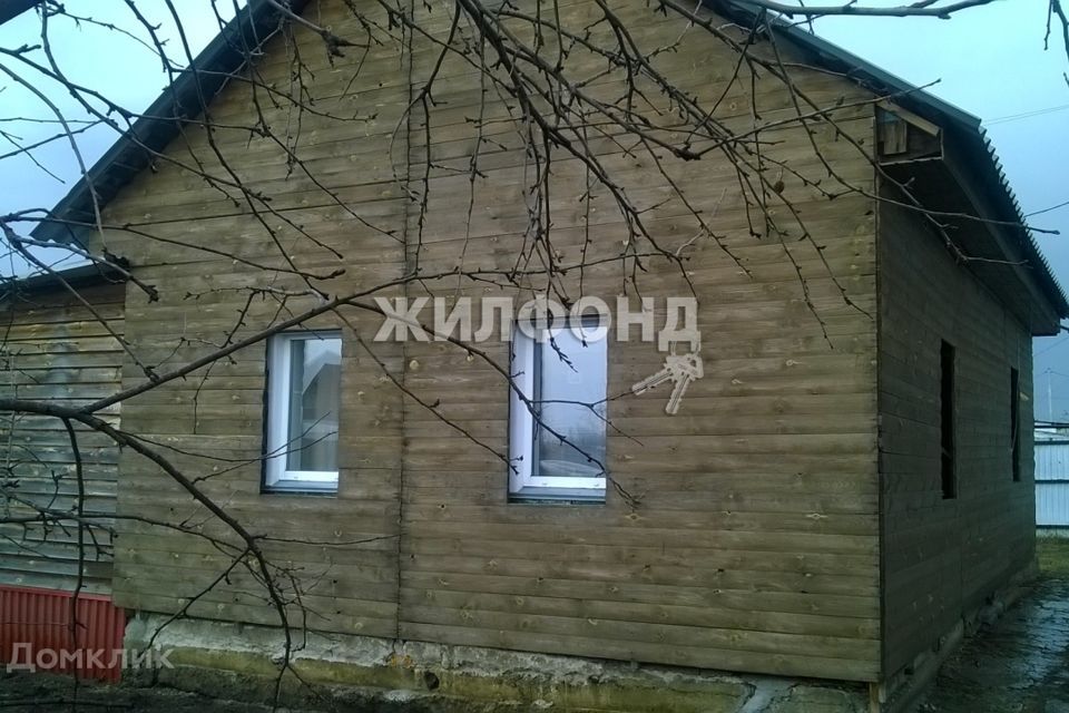 дом г Новосибирск пер Балластный фото 1