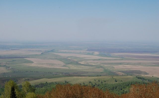 ул Центральная 37 фото