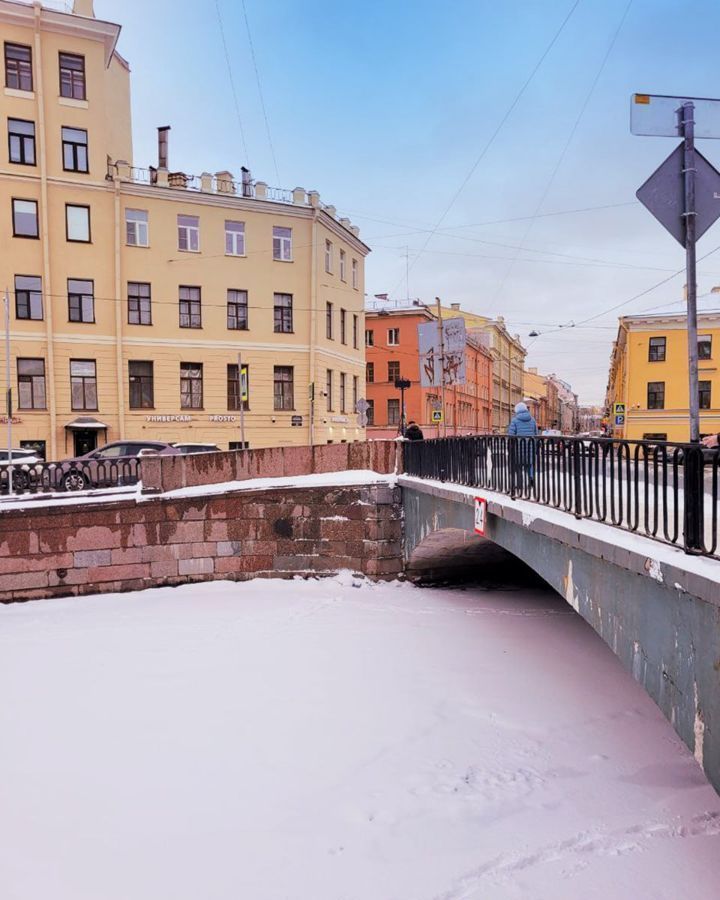 квартира г Санкт-Петербург метро Садовая пр-кт Римского-Корсакова 29 фото 4