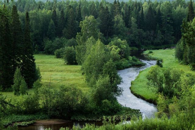 р-н Орджоникидзевский фото