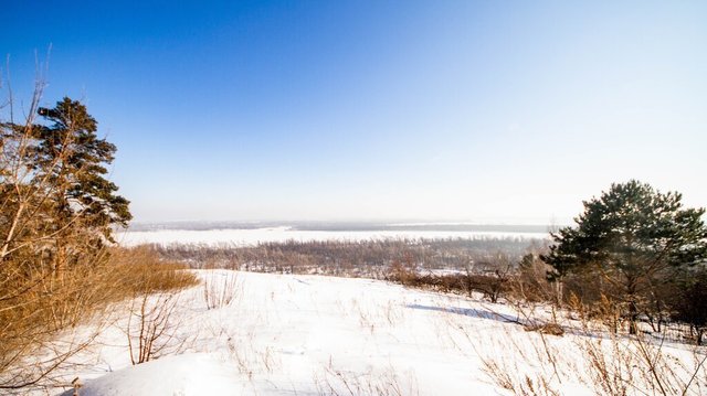 г Барнаул р-н Центральный туп Вешний 1-й 38 фото