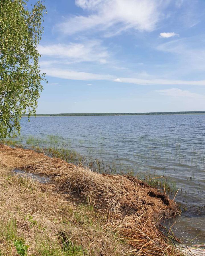 земля р-н Каслинский г Касли озеро Алабуга фото 3