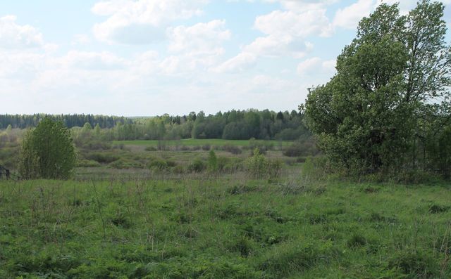 п Олимпийский Речное сельское поселение, Кумены фото