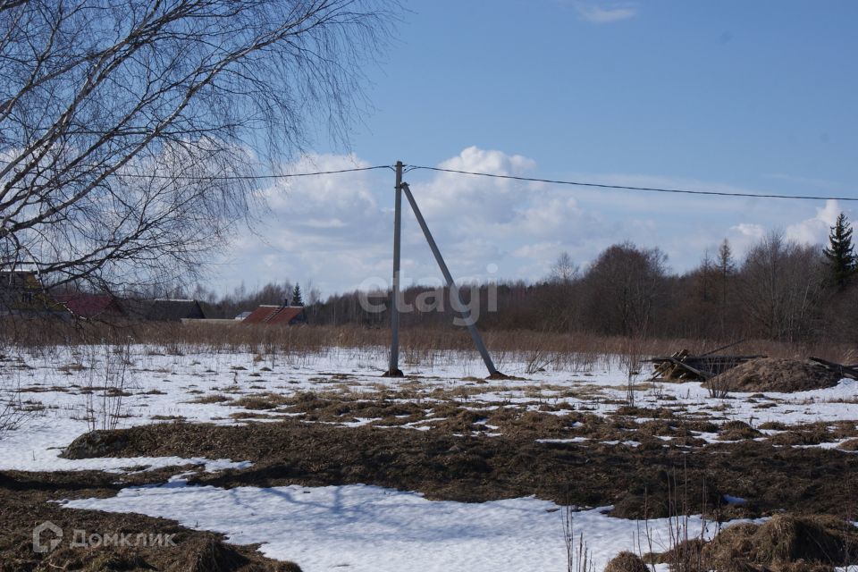 земля р-н Псковский д Барановка ул Полевая фото 3