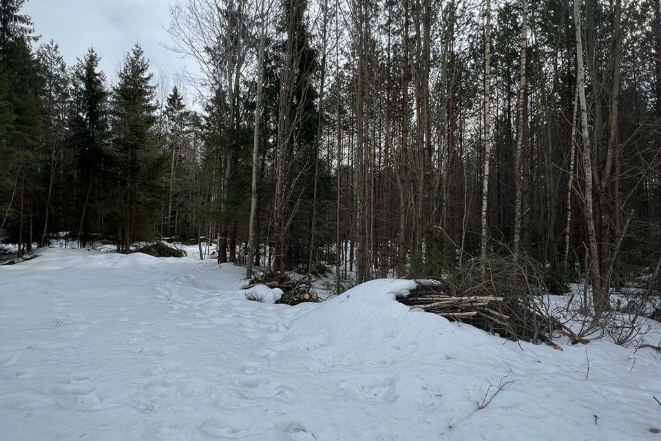 земля р-н Всеволожский г Всеволожск ш Южное фото 3