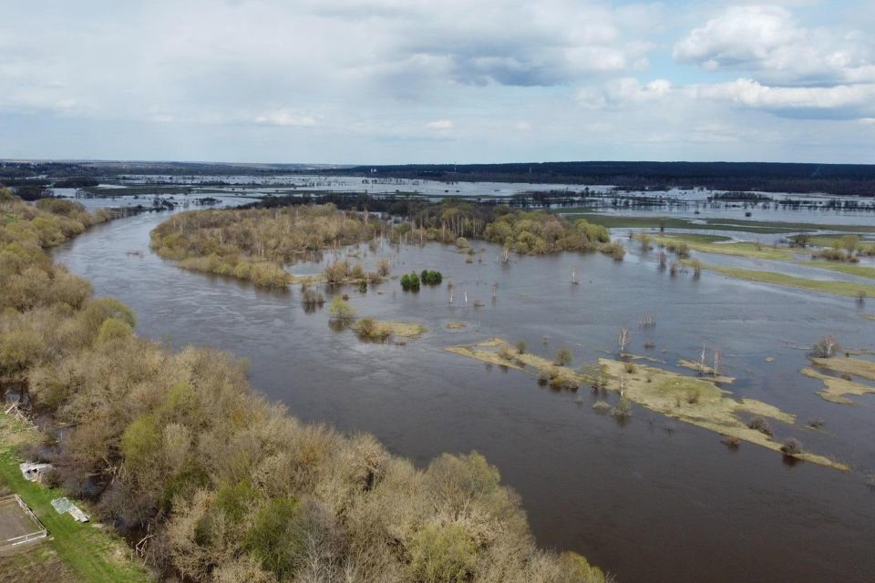 земля р-н Козельский фото 2