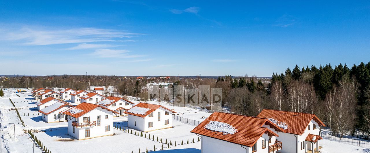 дом городской округ Дмитровский д Спас-Каменка ул Альпийская фото 8