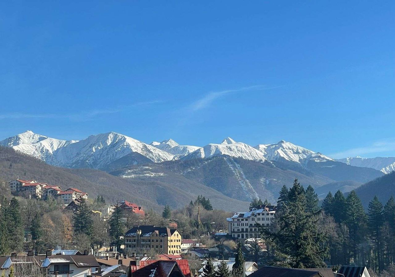 квартира г Сочи р-н Адлерский пгт Красная Поляна ул. Турчинского, 89 фото 10