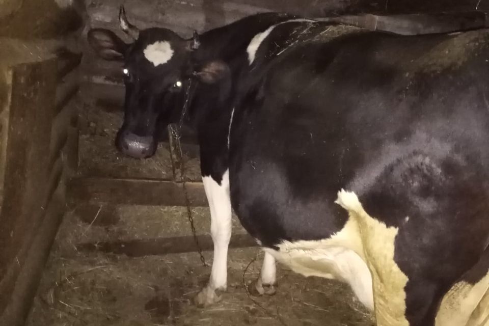 дом г Ревда фото 9