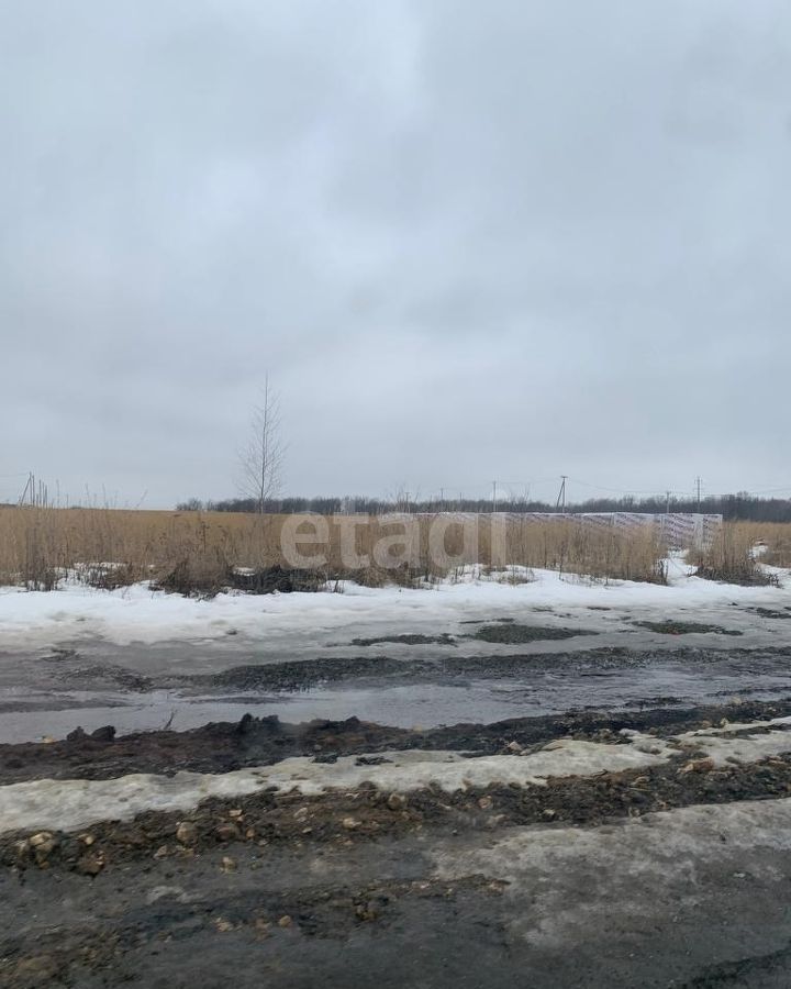 земля г Саранск рп Николаевка ул Первомайская 1 Николаевка фото 8