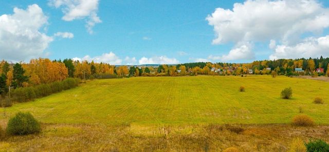 городской округ Можайский д Макарово 25 фото