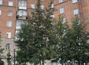 квартира г Новосибирск Заельцовская пр-кт Красный 157 фото 4