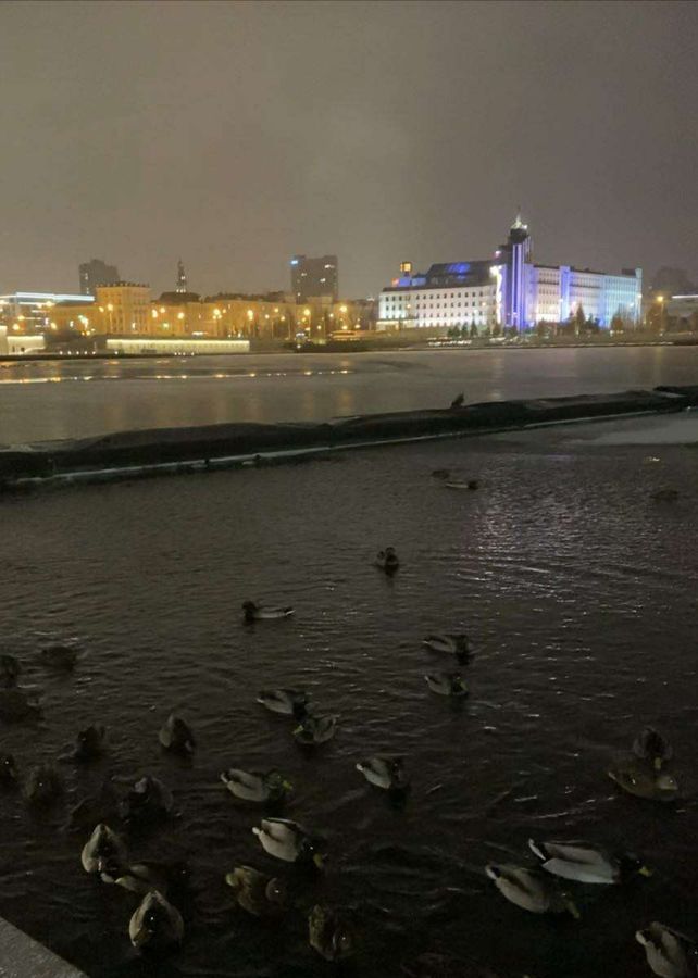 квартира г Казань метро Площадь Тукая р-н Вахитовский Старо-Татарская слобода ул Каюма Насыри 18/13 фото 16