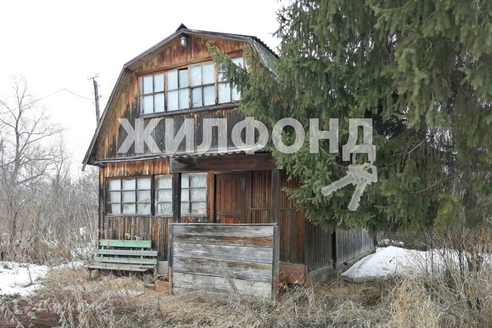 дом р-н Новосибирский фото 2