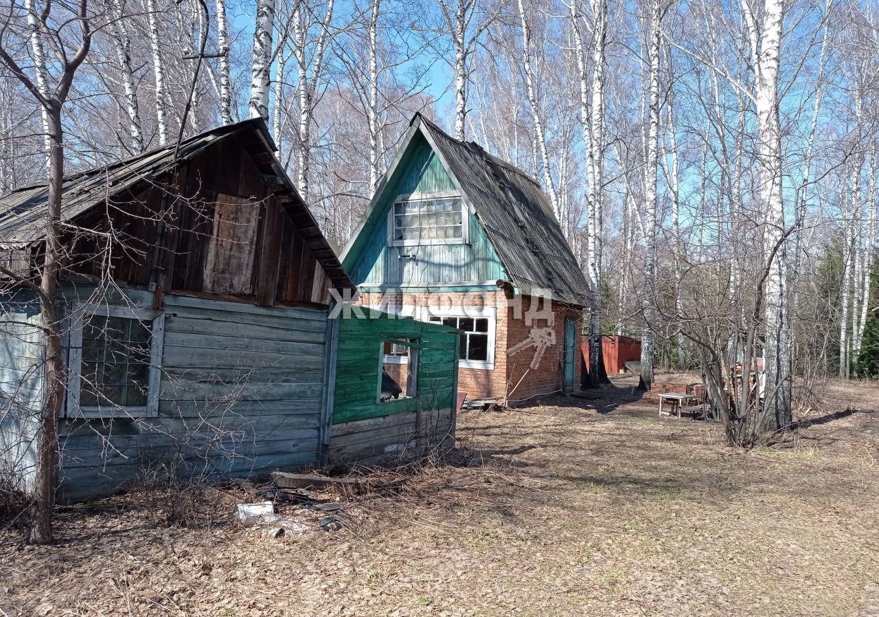 дом р-н Новосибирский снт Восток Барышевский сельсовет, Новосибирск фото 5
