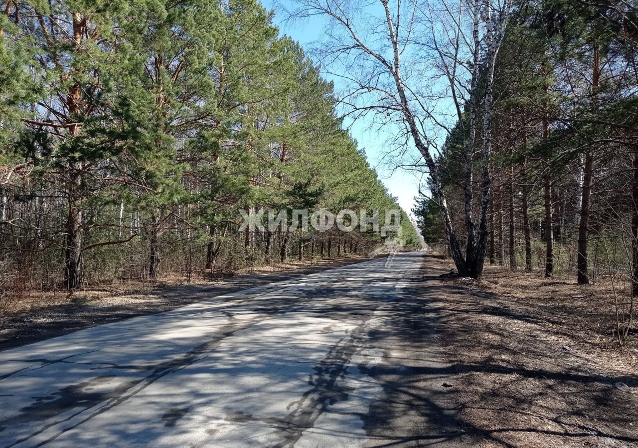 дом р-н Новосибирский снт Восток Барышевский сельсовет, Новосибирск фото 17