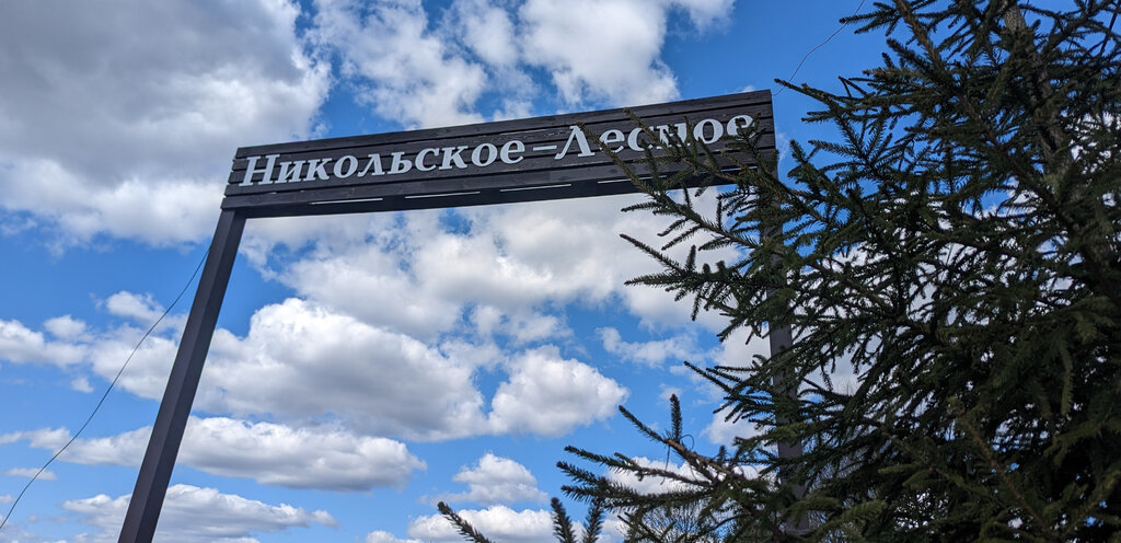 земля г Солнечногорск коттеджный посёлок Никольское-Лесное, Жемчужный проезд фото 3