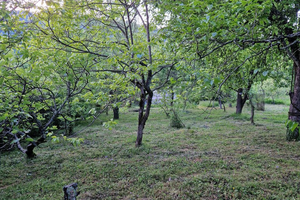 земля г Сочи с Казачий Брод р-н Адлерский внутригородской с Липники фото 4