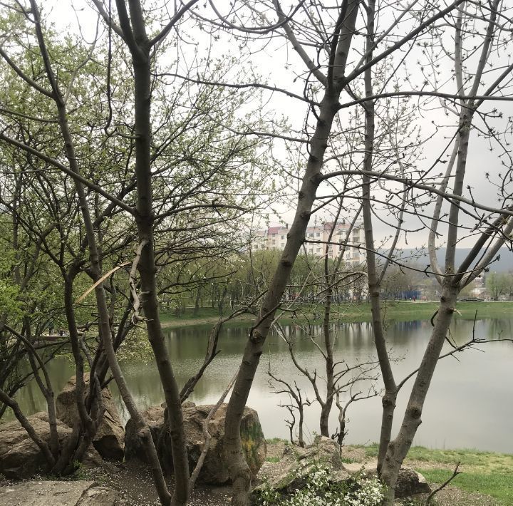 комната г Железноводск ул Проскурина 43 фото 7