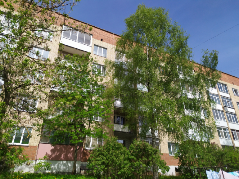 квартира г Смоленск р-н Ленинский линия Красноармейской Слободы 3-я д. 21  Лопатинский сад фото 9