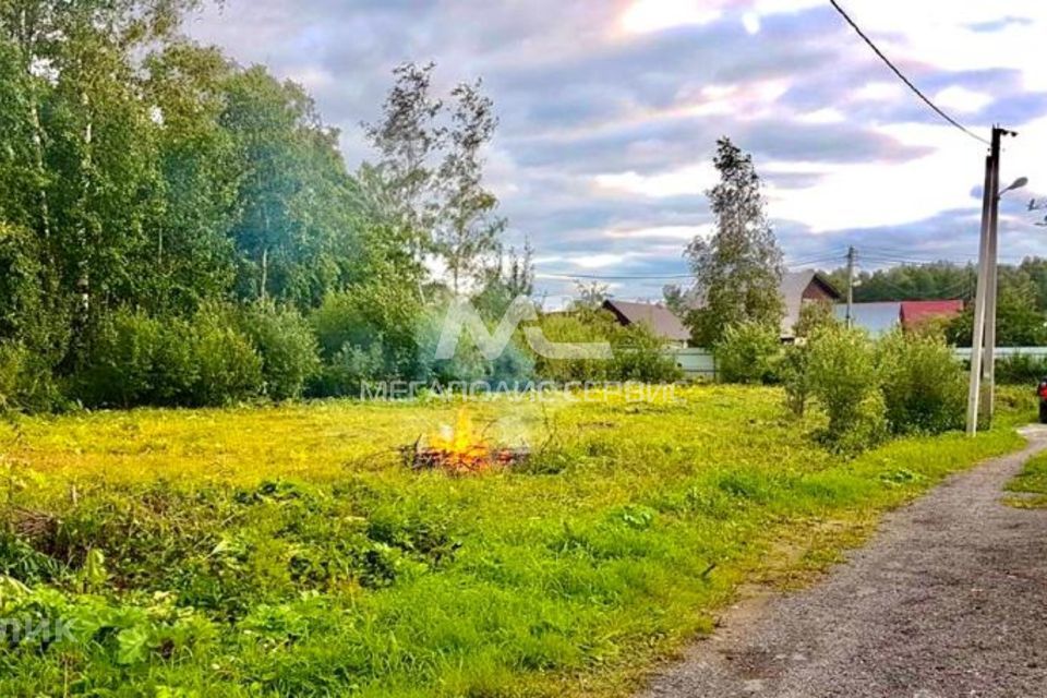 земля г Ногинск Благовещенье снт тер.Орешник фото 1