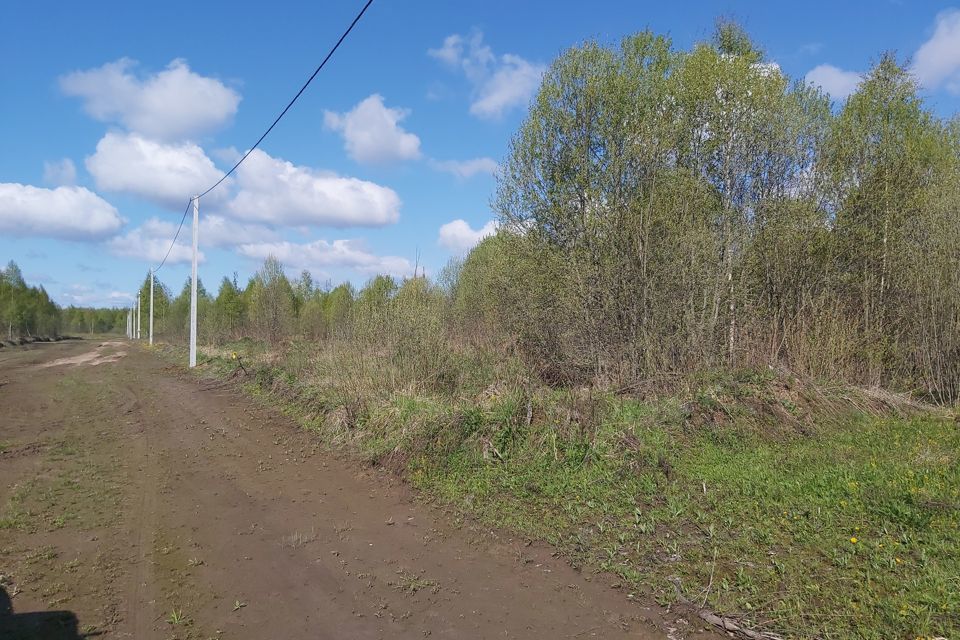 земля р-н Александровский фото 1