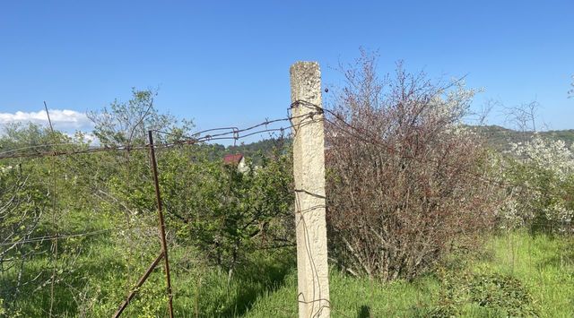 г Алушта с Нижняя Кутузовка ул Оливковая фото